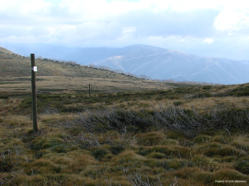 ZA. Snow Poles