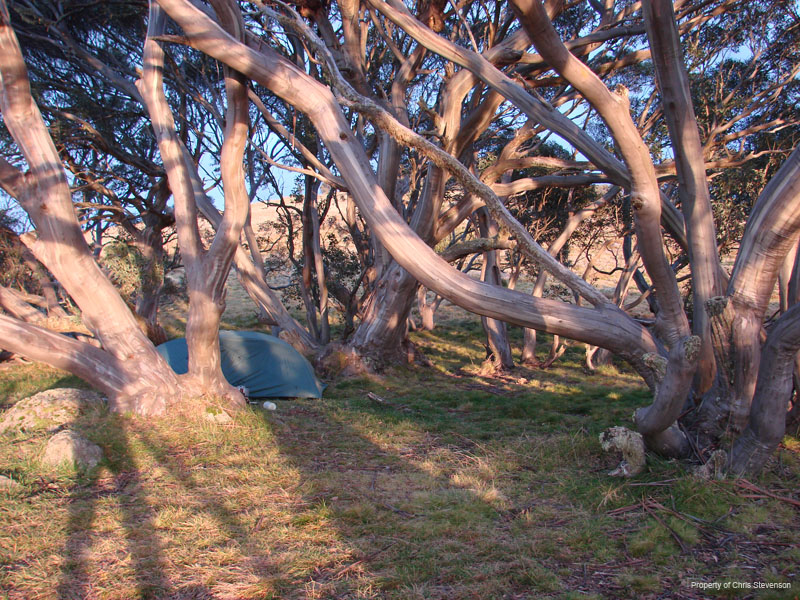 ZK. Camping near Cope Hut