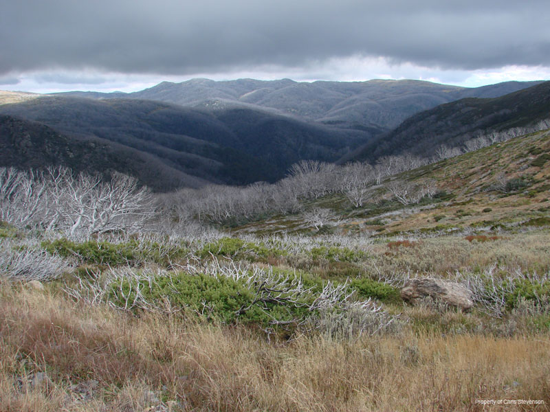 ZT. View towards Mt Fainter