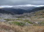 ZT. View towards Mt Fainter