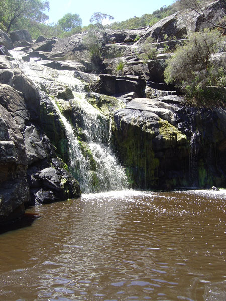 DSC03022